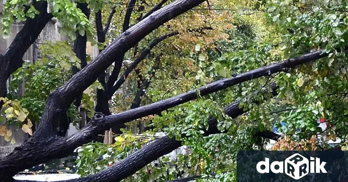 Силните пориви на вятъра в Пловдивска област вече причиниха материални