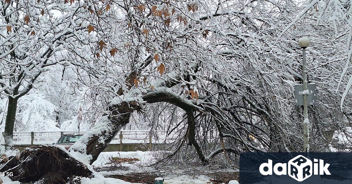 По данни в Областния съвет за сигурност прекъсвания на електрозахранването