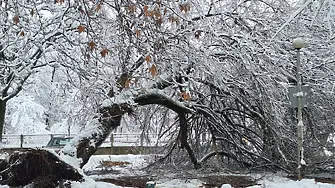 23 см снежна покривка във Враца