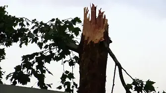 Силен вятър: Има опасност от падащи предмети, затворете плътно прозорците, съветват от ПБЗН