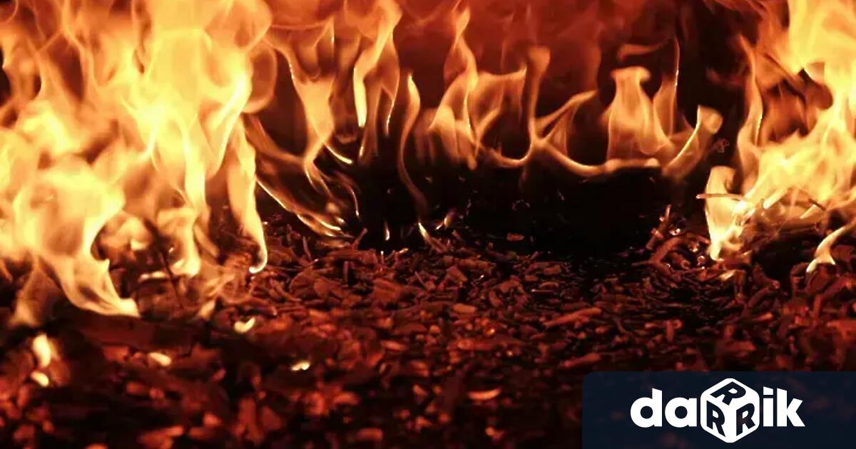 Три деца и майка им бяха ранени сериозно при взрив