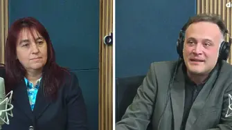 Ралица Петкова, пчелар: Осата и пчелата са много различни!