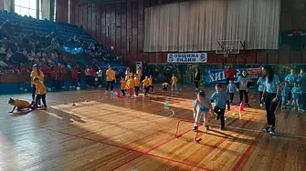 Във Видин се проведе коледното състезание  „Бдинци, лъвчета, титани“