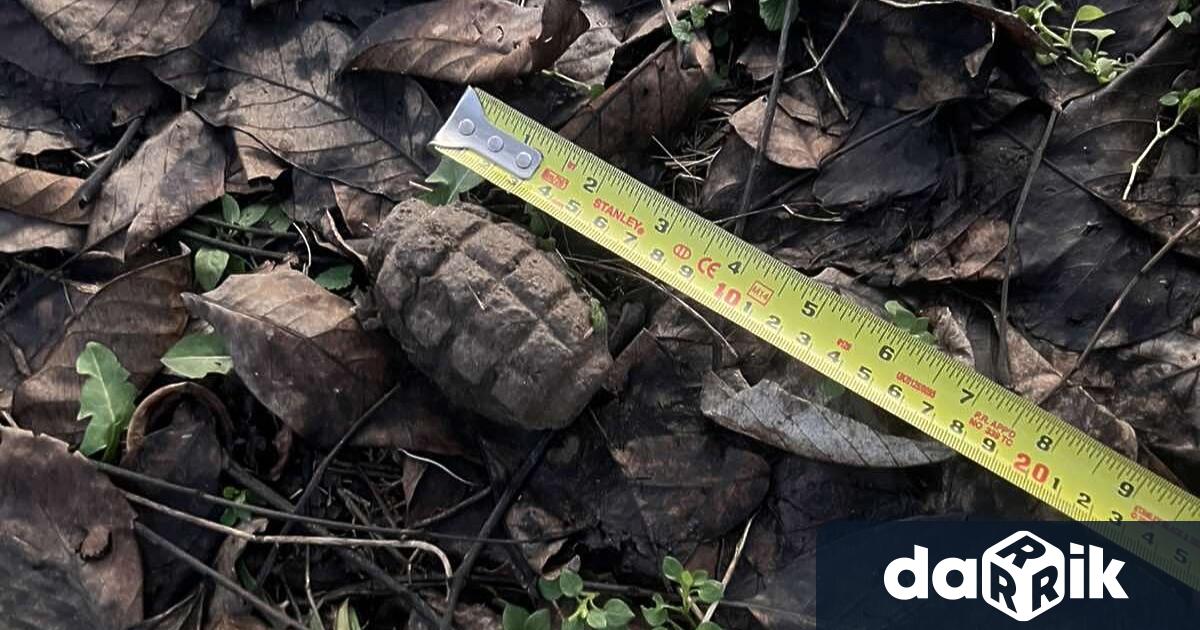 Специализиран екип от състава на Сухопътните войски иззе и унищожи