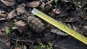 Военни унищожиха невзривена ръчна граната, открита в Плевен