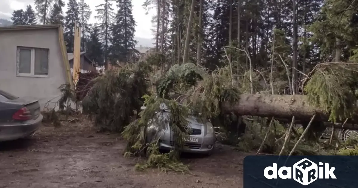 Системата за ранно предупреждение BG ALERT се задейства на 4