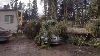 Задействана е системата BG-ALERT заради ураганен вятър на Боровец