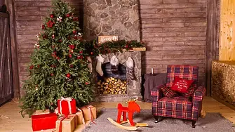 След празниците: Живата коледна елха не се изхвърля в контейнера за боклук