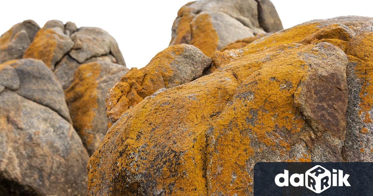 Дете е паднало от скала в местността Мъртви скали в