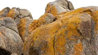 Дете падна от скала в село до Пловдив 