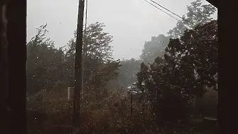 Силният вятър причини щети и затруднения в област Плевен 