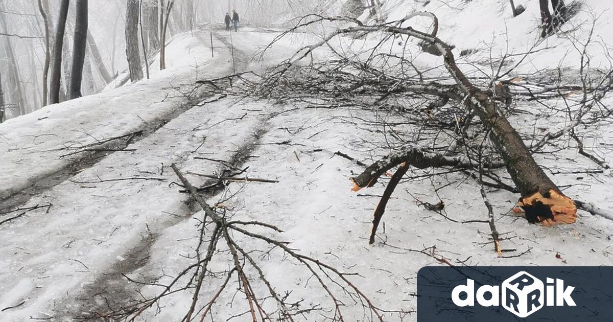 На 25 декември видинскитеогнеборциреагирали на 14 сигнала за необходимост от