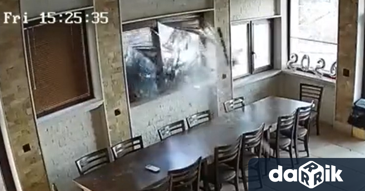 Силен вятър повали дърво във врачанския квартал Бистрец този следобед