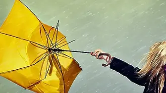 След ураганният вятър: Обстановката във Враца се нормализира