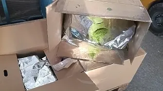 Задържаха 100 кг японски чай