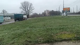 Община Видин: Дари елхата си на природата!