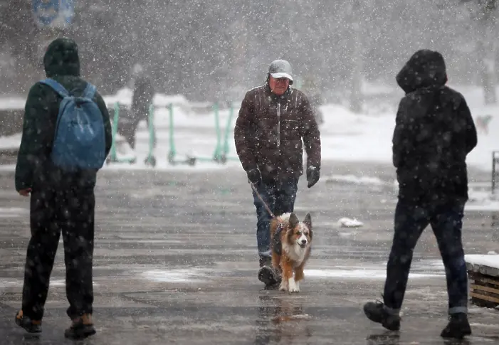 СДВР зове столичани: Ако не се налага да шофирате, оставете автомобилите