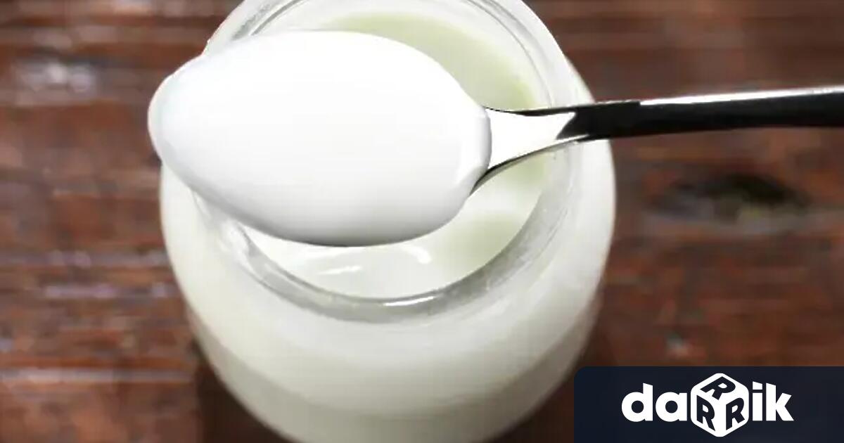 За втори път България прави опит киселото мляко да бъде