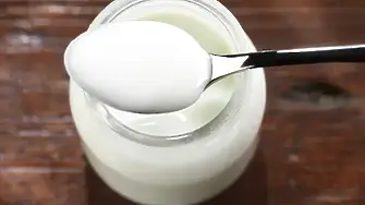 Българското кисело мляко отново кандидатства за ЮНЕСКО