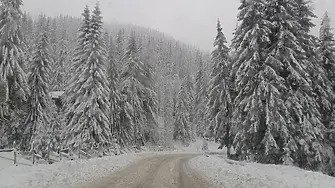 Ограничено е движението на товарни автомобили с ремаркета и полуремаркета през „Превала”