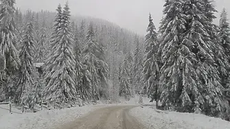 „Синоптичната комисия“: Утре - по-топло, от събота пак студ