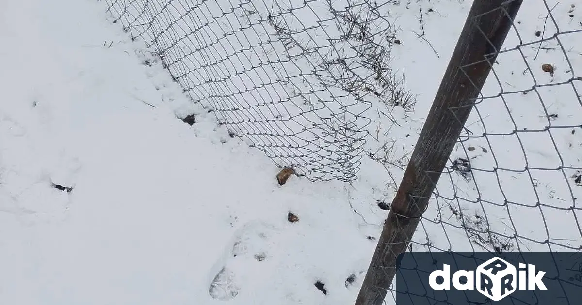 Срязаха умишлено монтираната предпазната ограда край жп линията във Враца