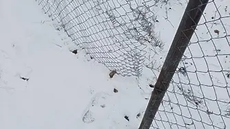 Срязаха монтираната предпазна мрежа на жп линията във Враца