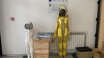 Конкурс за детска рисунка обявява Областният пчеларски съюз – Плевен