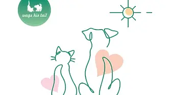 Благотворителен концерт ще се проведе в Сливен в подкрепа на животните 