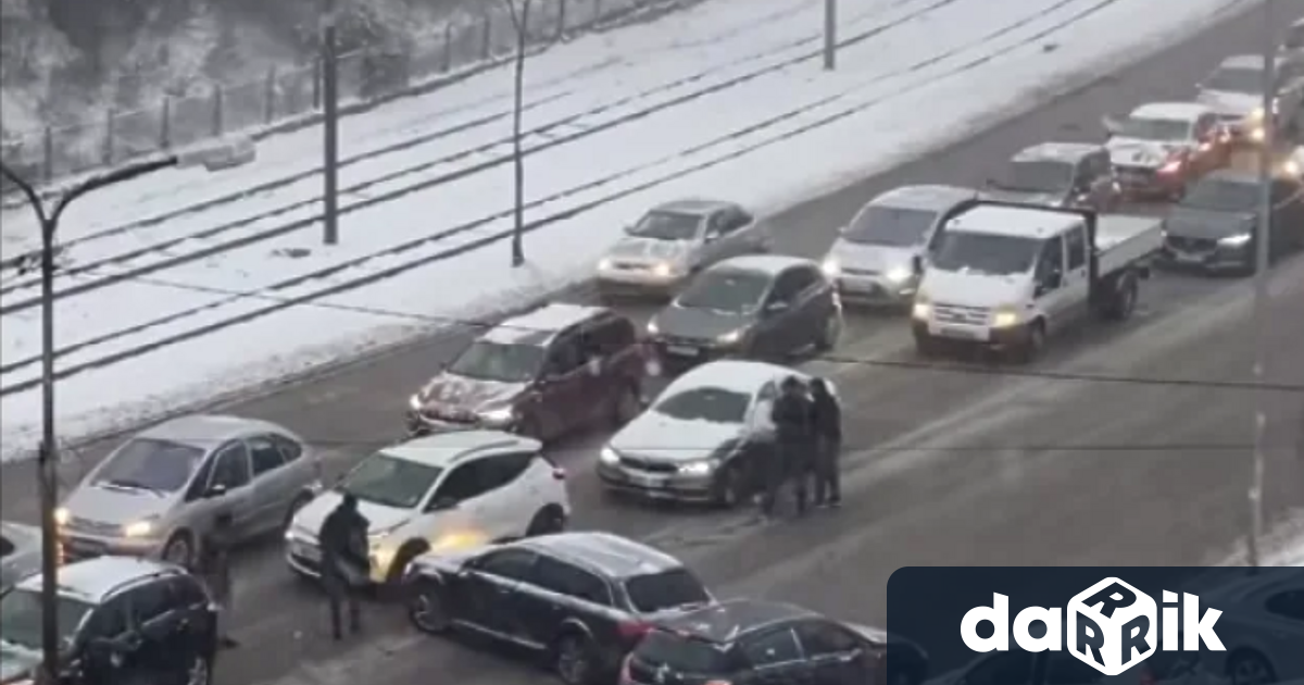 Мъж с аудито излезе с бухалка и взе да се