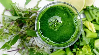 СловоЗдрав - Истинската грижа започва преди болестта