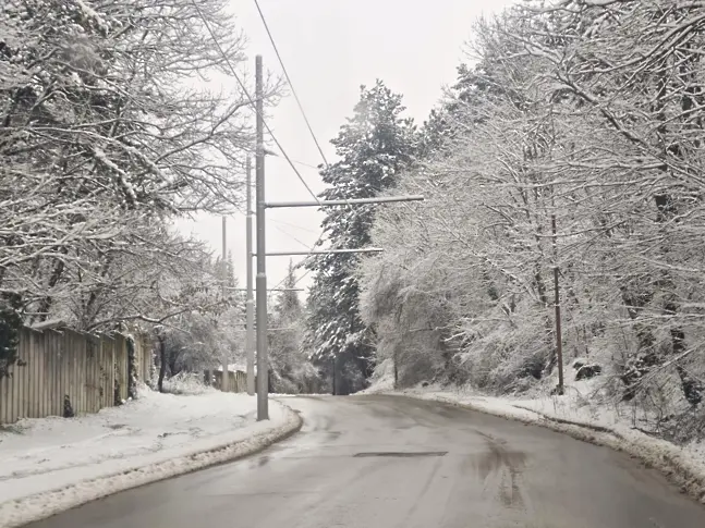 Обработват всички улици и тротоари в Плевен срещу заледяване 