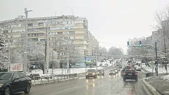 Обработват всички улици и тротоари в Плевен срещу заледяване 