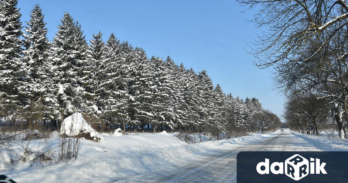 През изминалото денонощие пожарникари реагираха своевременно на сигнали за паднали