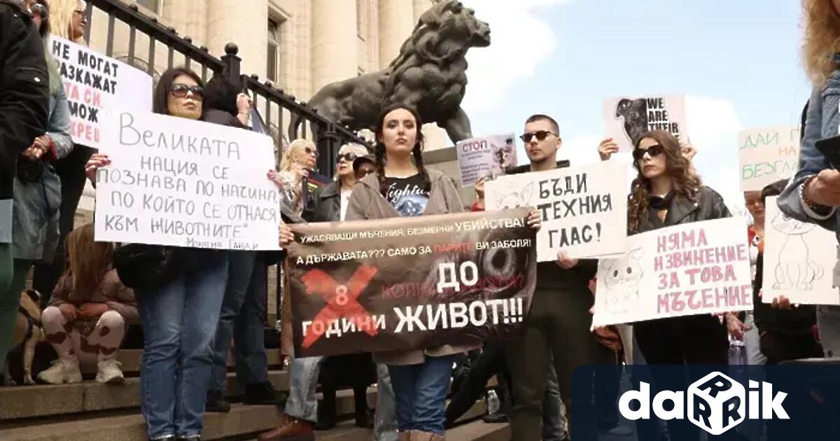 Софийският градски съд заседава по делото на Габриела Сашова и