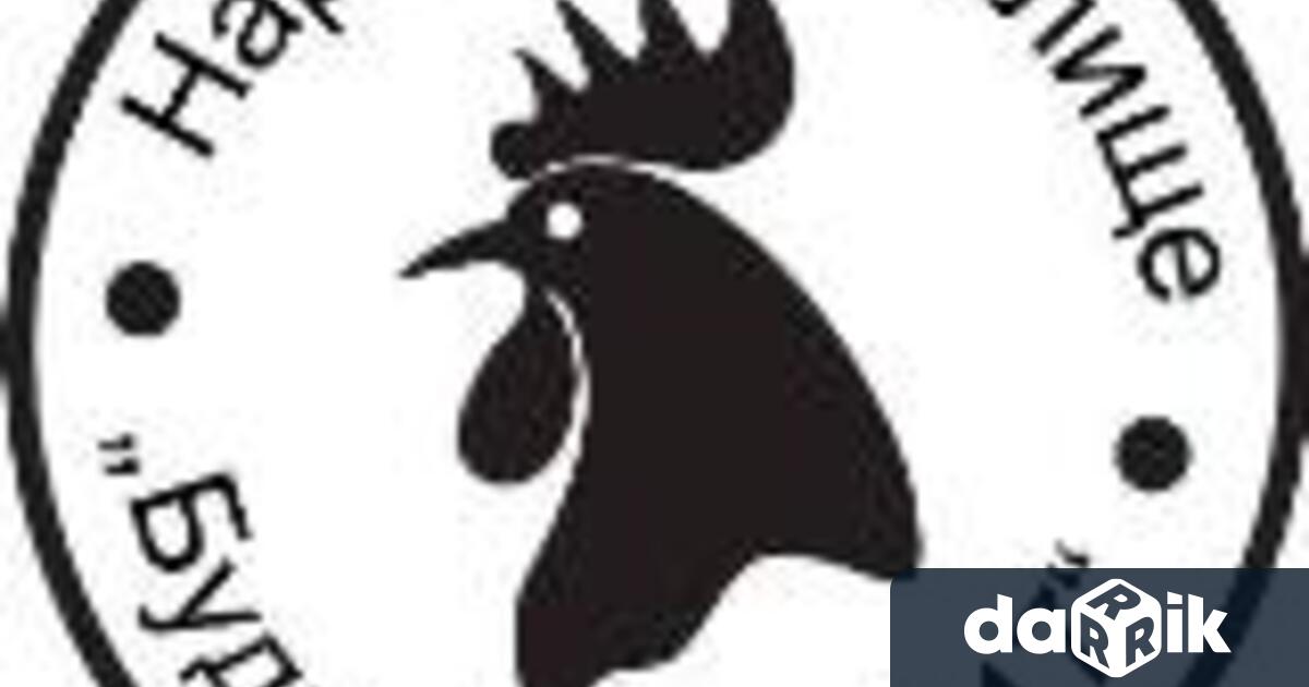 Отличия и номинации за свои спектакли през изминалата година вече