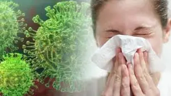 Няма опасност от грипна епидемия в област Враца