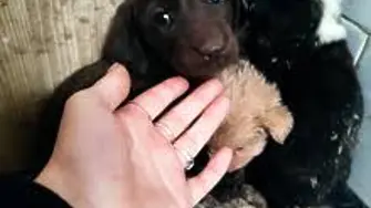 Полицейска камера засече лек автомобил с близо 120 км/ч в пловдивско село