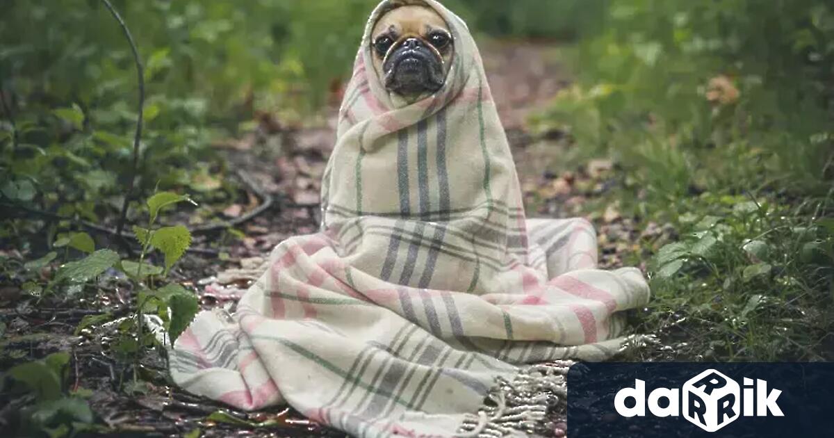 В първите дни на настоящата седмица времето ще носи параметрите