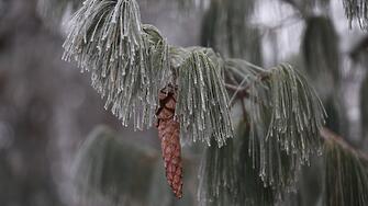 Жълт код за ниски температури в 14 области в страната