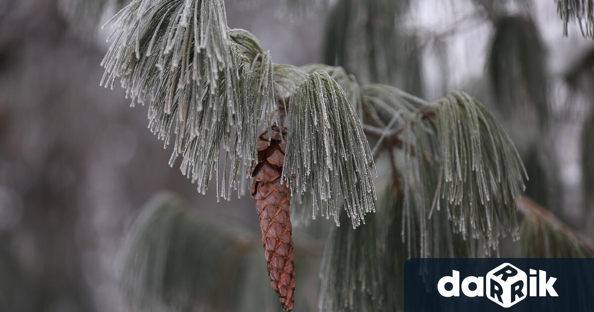 Жълт код за ниски температури е обявен за днес в