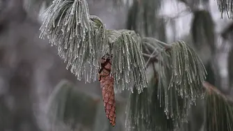 Жълт код за ниски температури в 14 области в страната