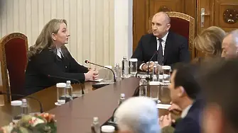 ГЕРБ няма да се бори с Радев, а ще го остави да се сблъска с реалността, заяви Деница Сачева