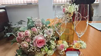 Над 300 са новите семейства в община Плевен за изминалата година