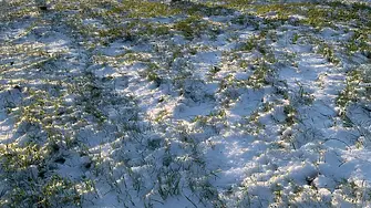 Тази неделя: Максимални температури между -6° и -4°! 
