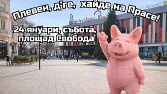 Прасето от протестите идва в град Плевен - защити гласа си!