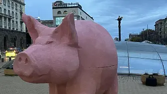 Скулптурата на Прасето от протестите идва  днес във Враца