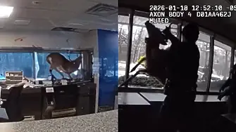 Елен се сби с полицаи, след като нахлу през прозореца в банка