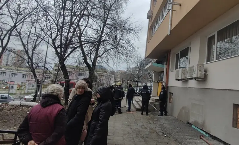 „То ще си умре там, кой ще ни плати стената“: Зазидаха живо коте в стена в Бургас (СНИМКИ)