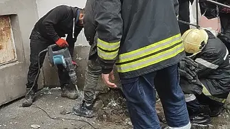 „То ще си умре там, кой ще ни плати стената“: Зазидаха живо коте в стена в Бургас (СНИМКИ)